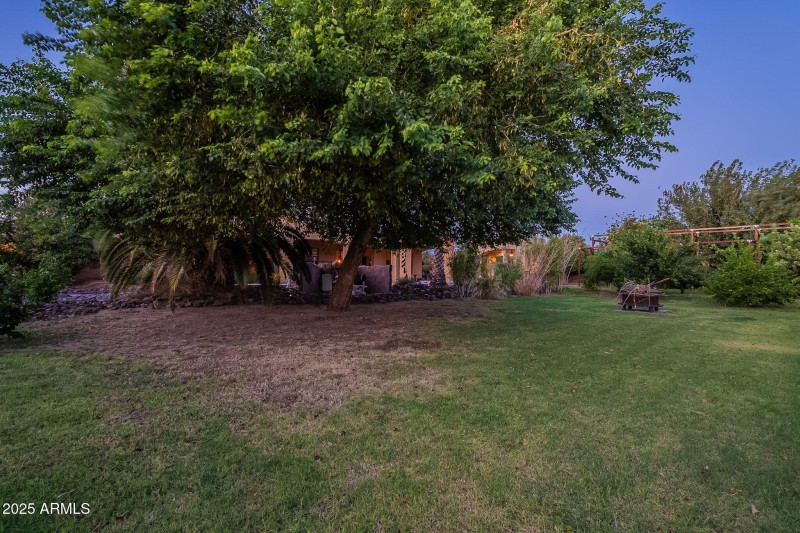 134-web-or-mls-Starflower-Twilight-16