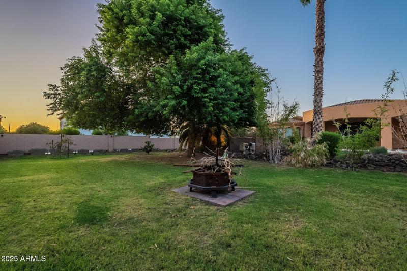 135-web-or-mls-Starflower-Twilight-17