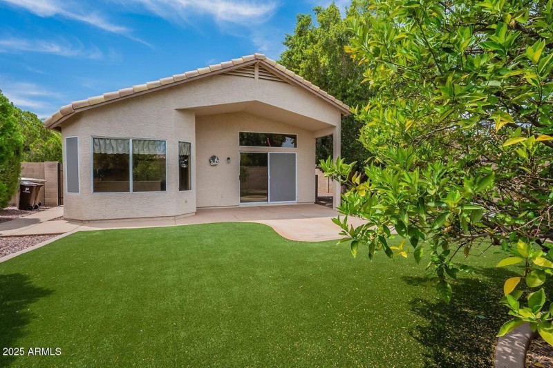 Luxurious North Facing Back Yard