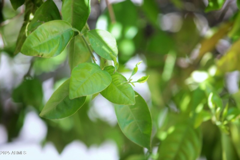 thumbnail_Marconi Ave (6)