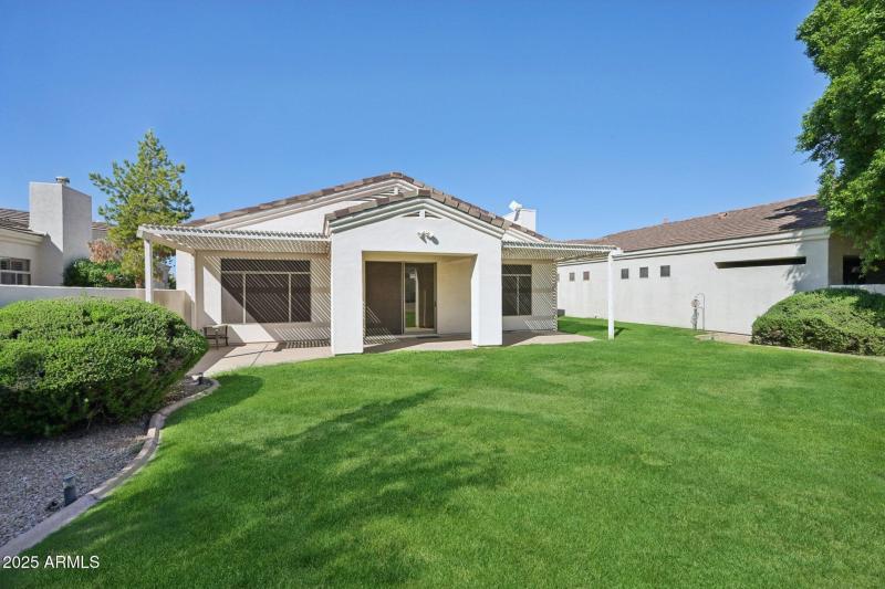 Views of the backyard