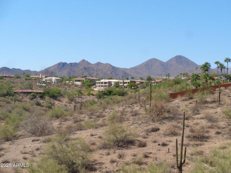 View of McDowell Mountains