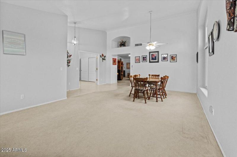 Lots Of Natural Light