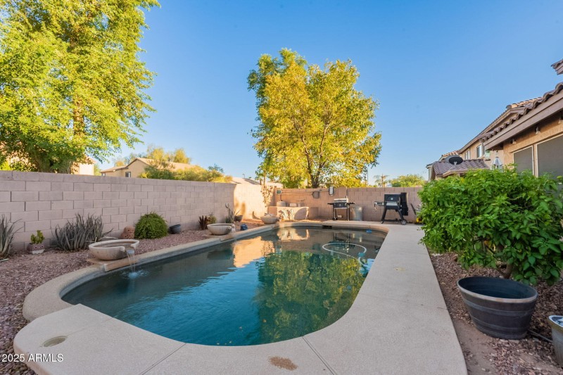 54-web-or-mls-Martingale-54