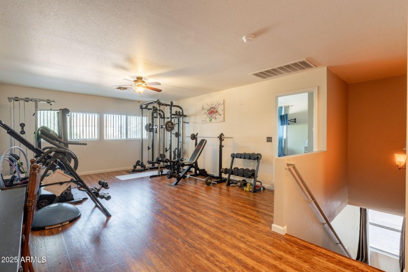 37-web-or-mls-Martingale-37