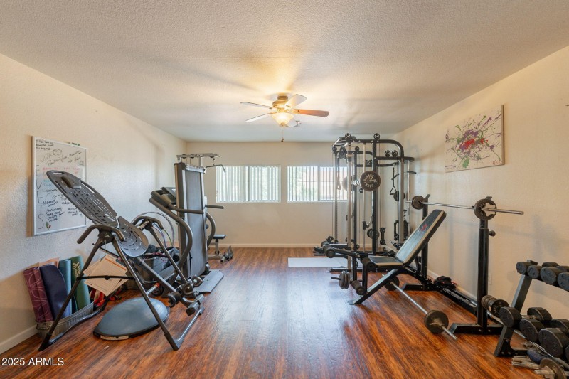 36-web-or-mls-Martingale-36