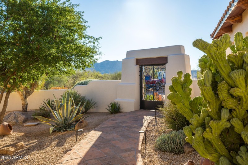 Courtyard with Desert Plants