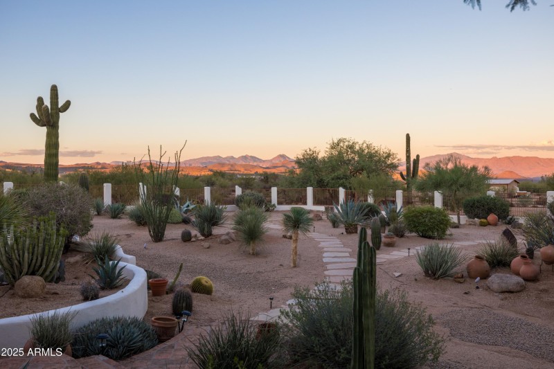 Natural Desert Landscaping