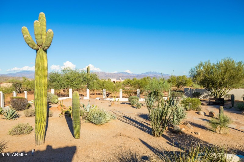 Beautiful Mountain Views