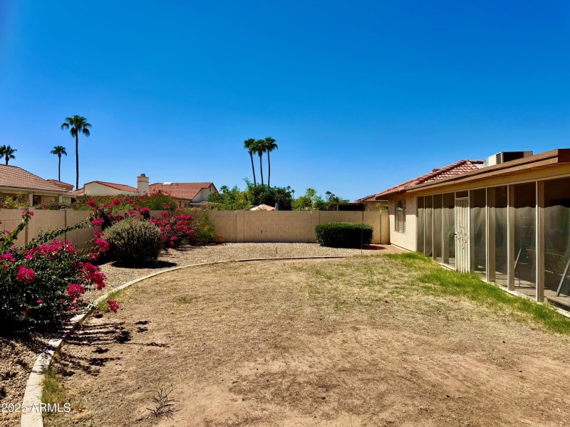 41 South-Facing Backyard