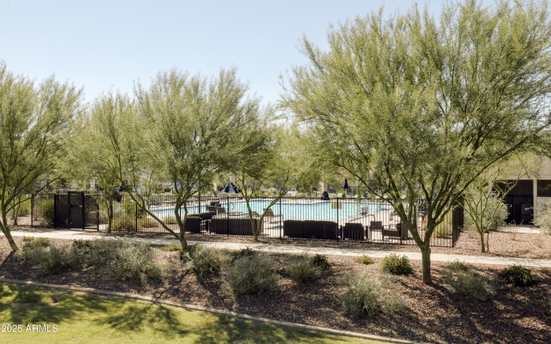 Community_Pool_Photo_1