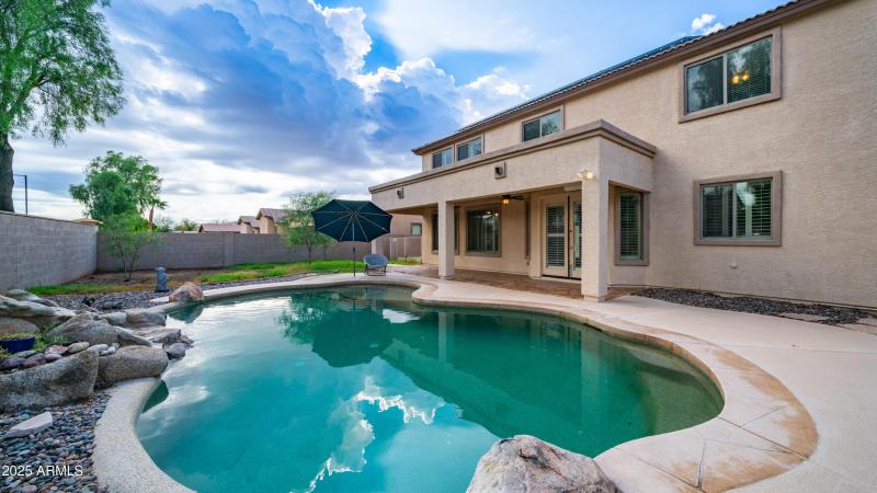 Backyard Pool