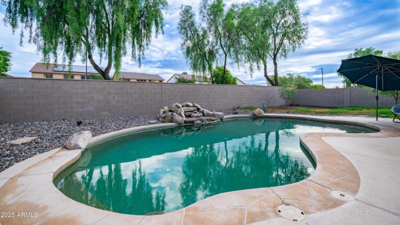 Backyard Pool