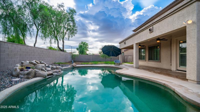Backyard Pool