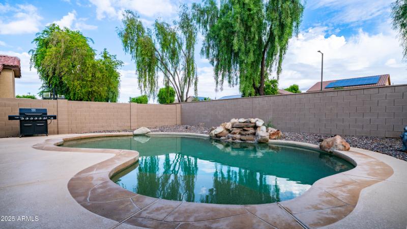 Backyard Pool