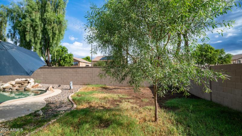 Backyard Grass