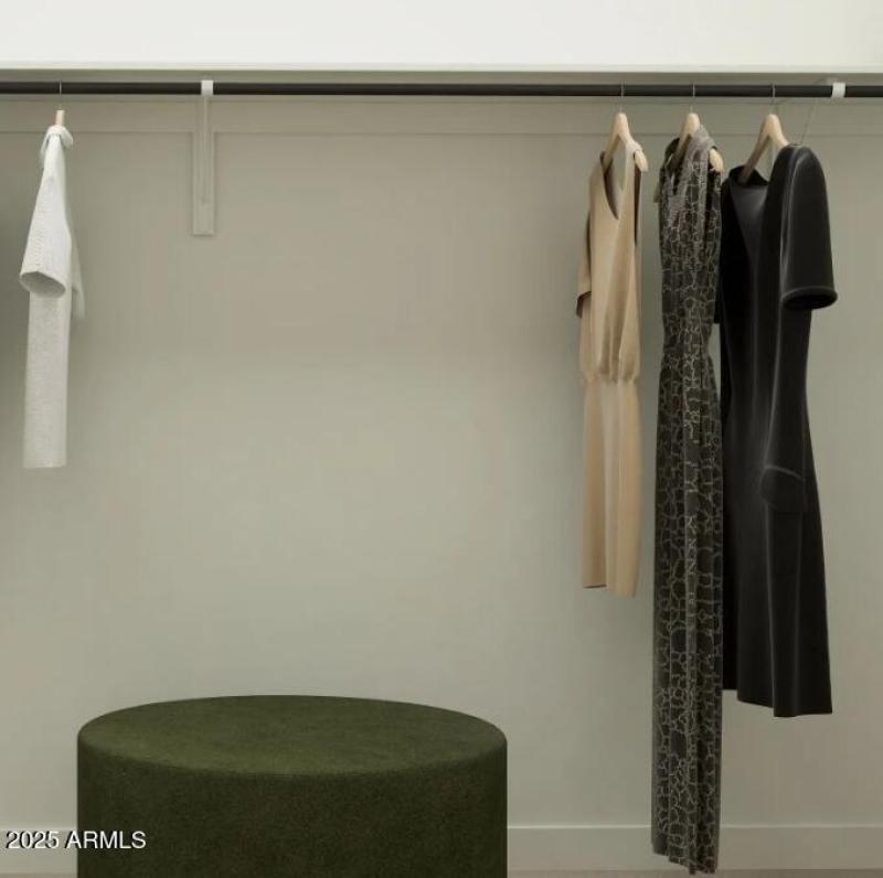 Owners Walk in Closet