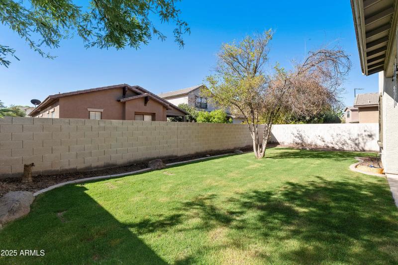 New Winter grass planted