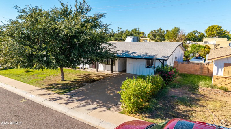 Aerial view with mature tree