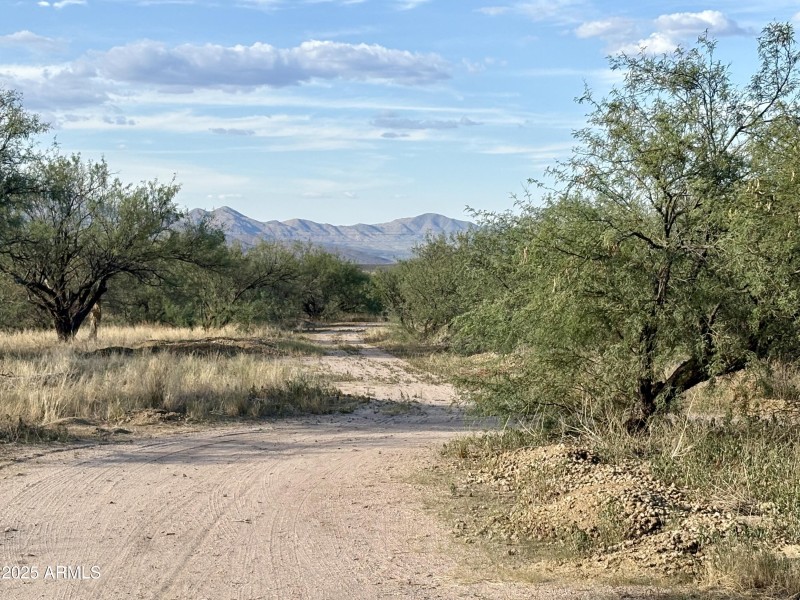 Views of the Rincons