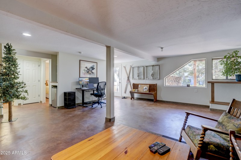 Basement Living Area