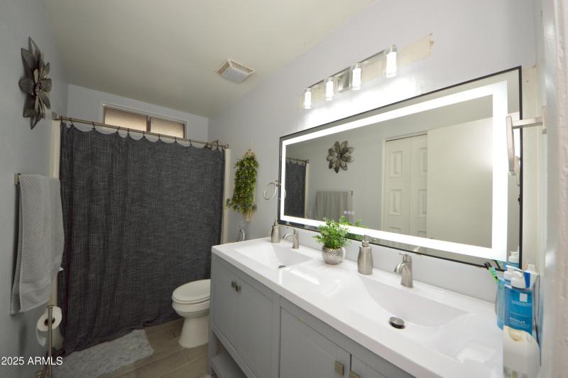 Fabulous Hallway Bathroom