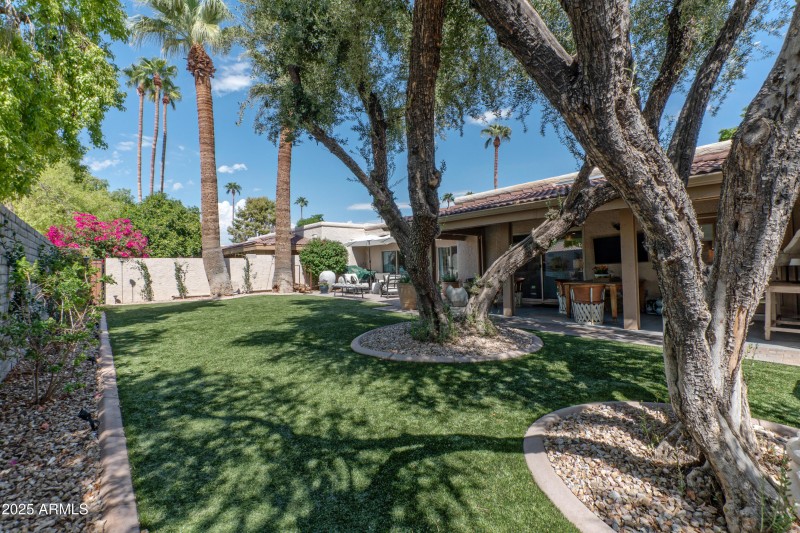 Spacious backyard with lots of shade
