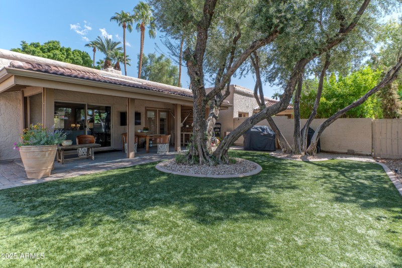 Backyard with lots of shade