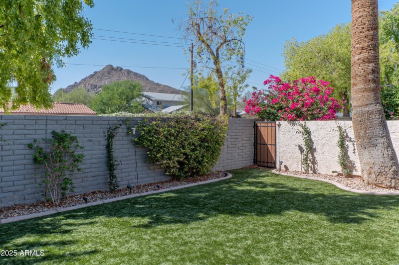 Camelback Mountain View!