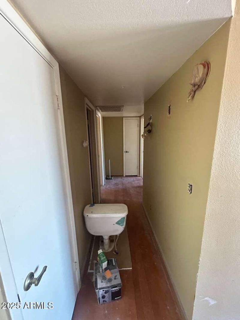 Photo Sep 24 2025, 12 41 43 PM