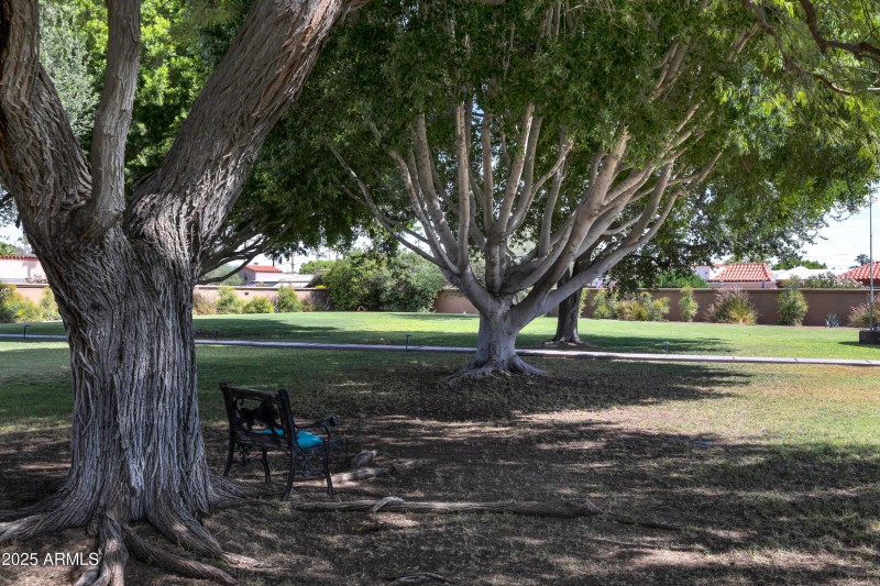 Mature & lush, shaded grounds.