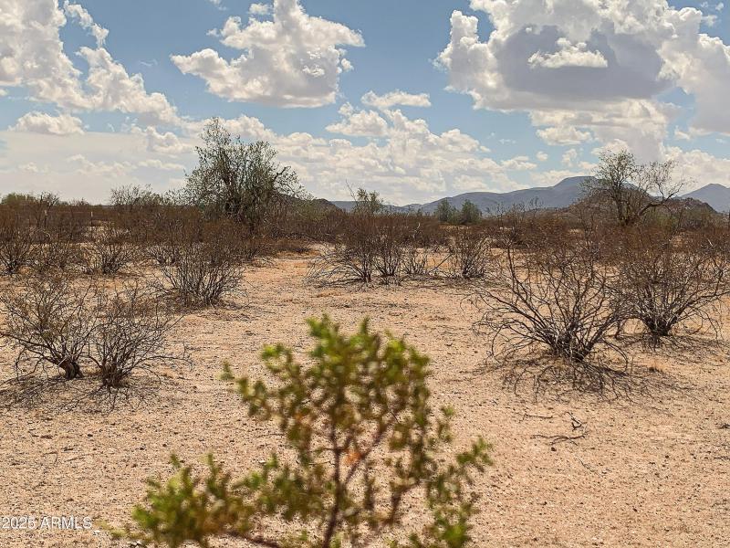 Get Away from the City Life!