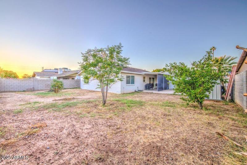 5039 W Mercer Ln Backyard