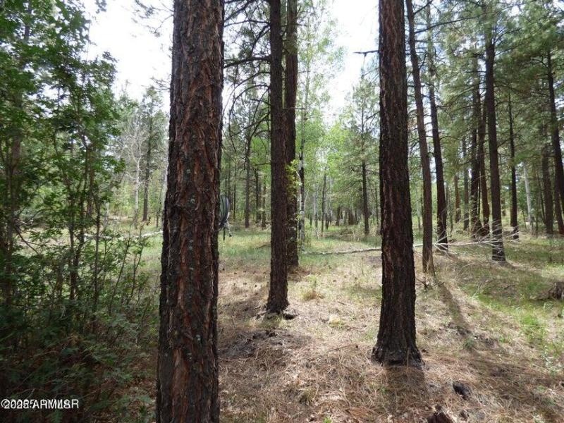 20250909062822843817000000-o