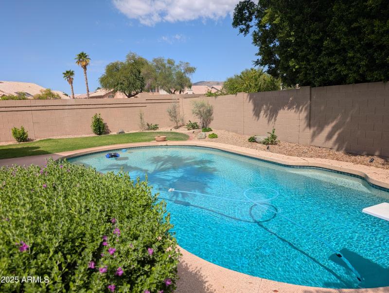 PXL_20250925_173932876.MP