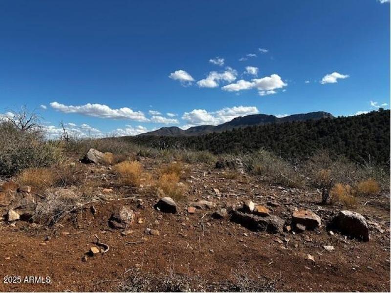 Different rocks and fossils