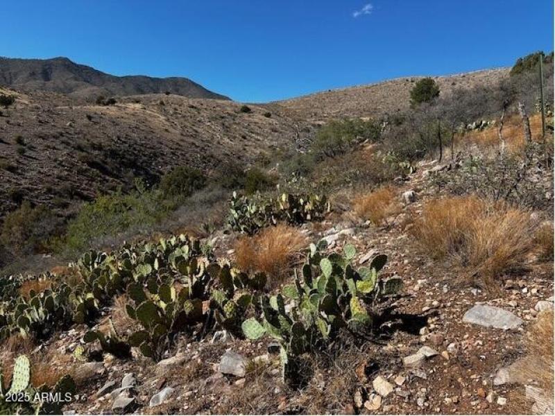 View to Tonto National Forest