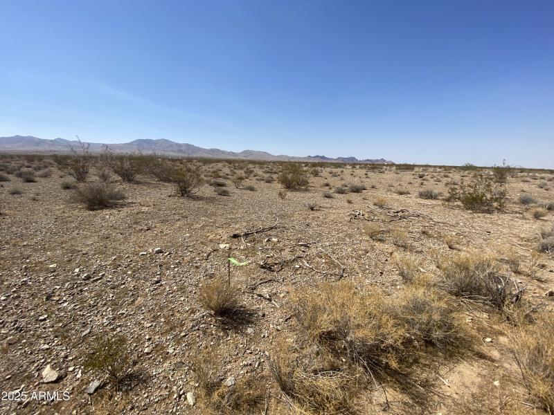 Gateway Acres Auction