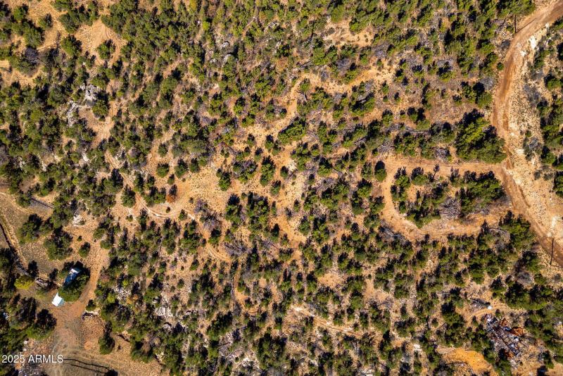 3656ZaneGreyTrl-HeberOvergaard-AZ-7