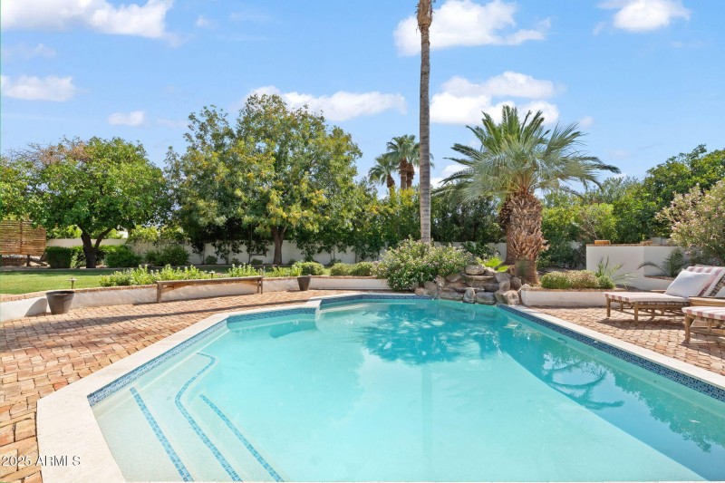 Large, Lush Backyard