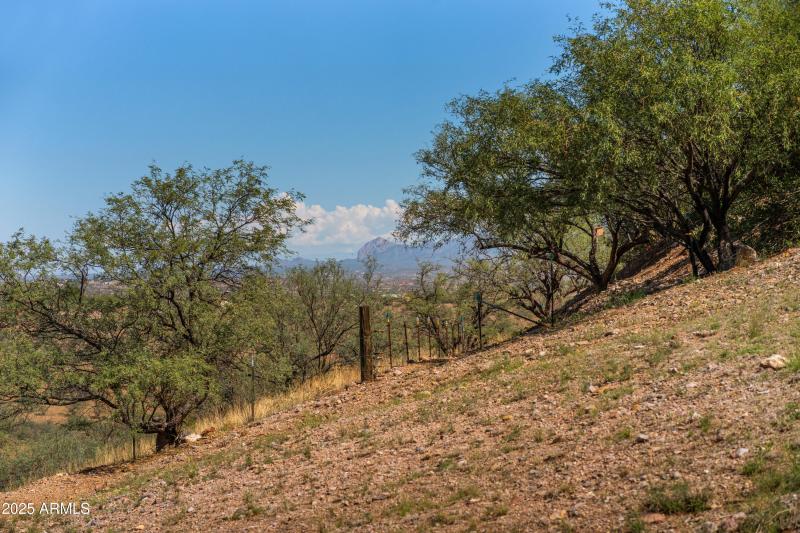 Views of Elephant Head