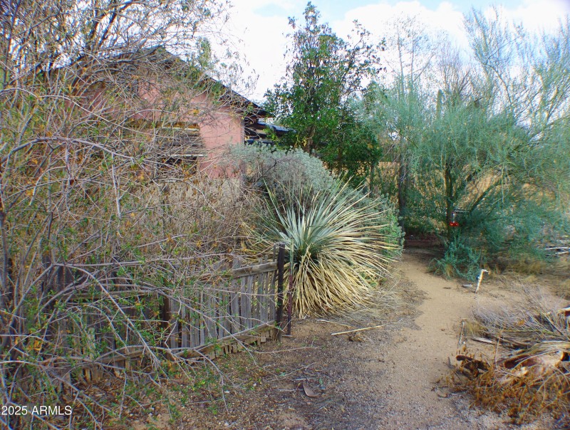 CASITA FROM REAR YARD