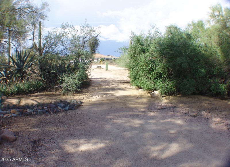 DRIVEWAY FROM 64TH ST DSC07481