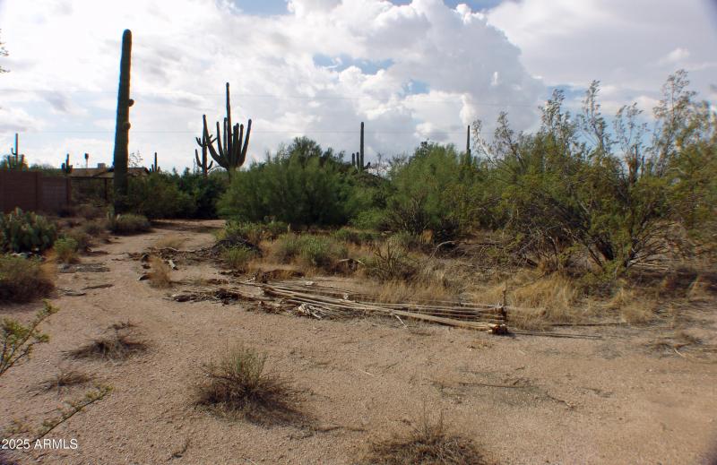 EAST VIEW ACROSS REAR OF LOT DSC07468