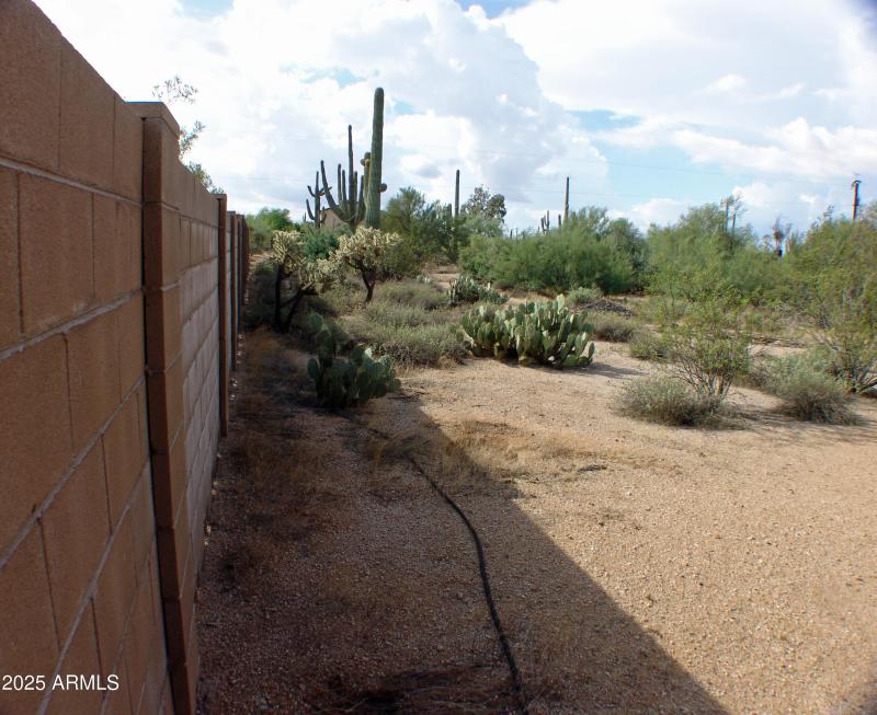EAST WALL VIEW TO SOUTH DSC07466