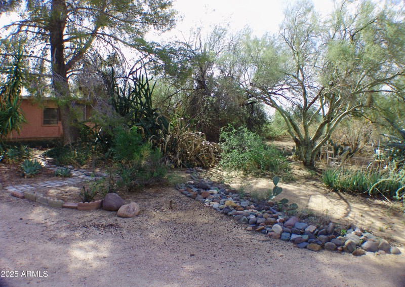 FRONT VIEW EAST SIDE OF PROPERTY DSC0748