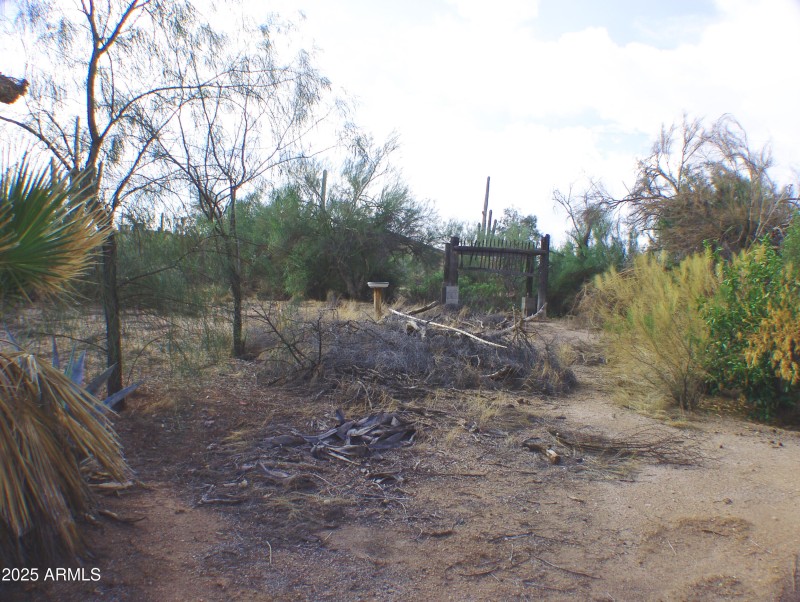 REAR LOT VIEW TO EAST DSC07471