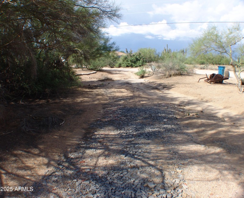 SMALL WASH WEST SIDE OF PROPERTY DSC0748