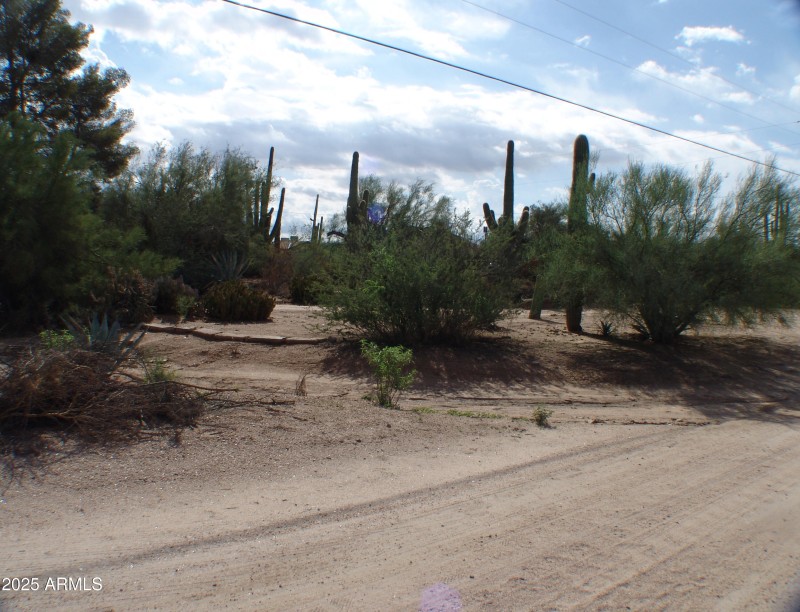STREET VIEW FRONT OF PROPERTY DSC07488
