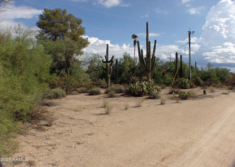 STREET VIEW UP GLORIA SOUTH SIDE OF PROP